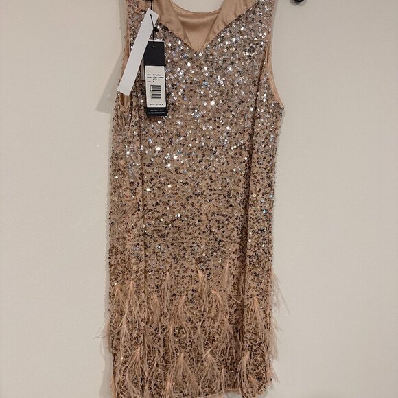 Parker Champagne Dress w/ Ombre Sequins & Feather Detail - Picture 3 of 6